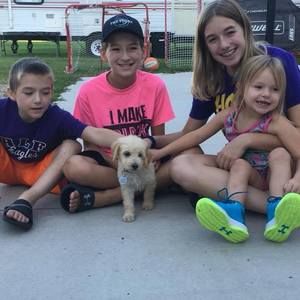 Meet your Posher, Lacy